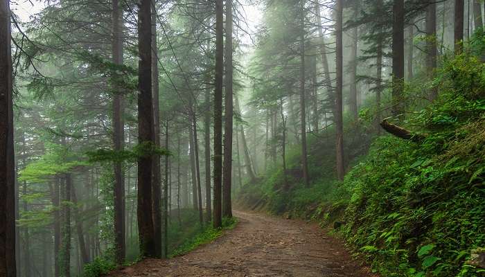 हिमाचल के आरामदायक आवास