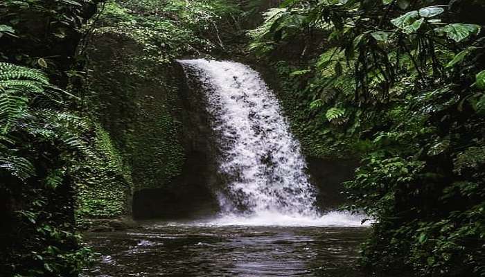 Ubud is quite popular among tourists for its natural beauty and amazing spots.