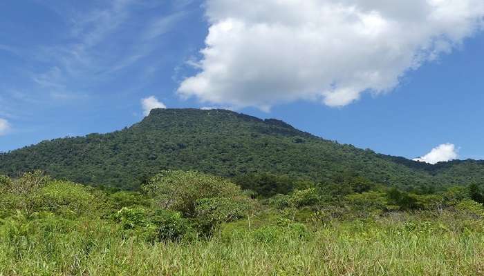 Gunung Lesong - Places To Visit In Buleleng Regency Bali In March