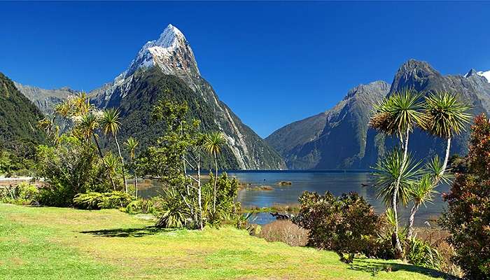 The land of Kiwis has a breathtaking landscape and a stunning terrain