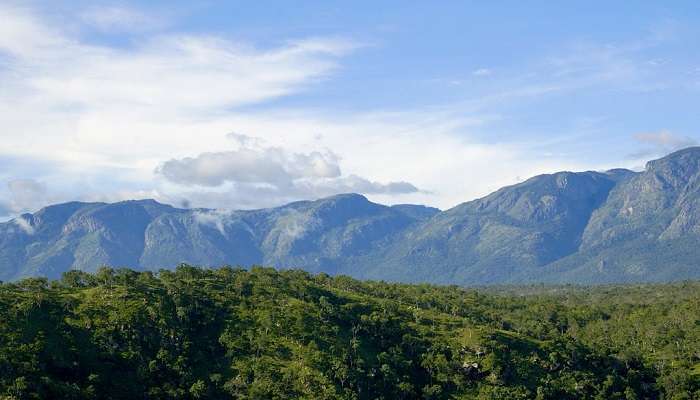 Bandipur is among the best places to visit in Kerala in December