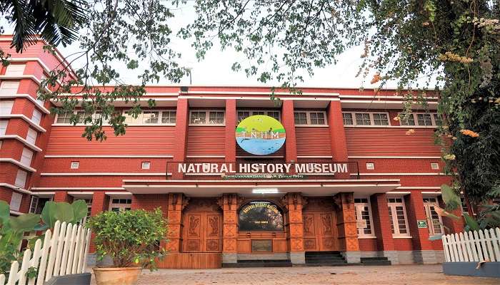 Things to do in Thiruvananthapuram- visit this musuem 