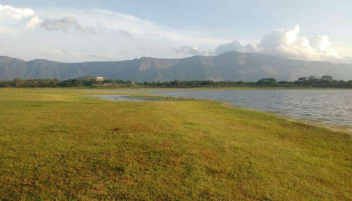 A scenic view from Meenkara Dam