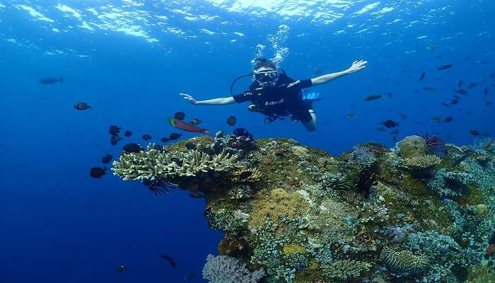 The East Bali diving nerve, Tulamben, has attracted diving enthusiasts from across the globe