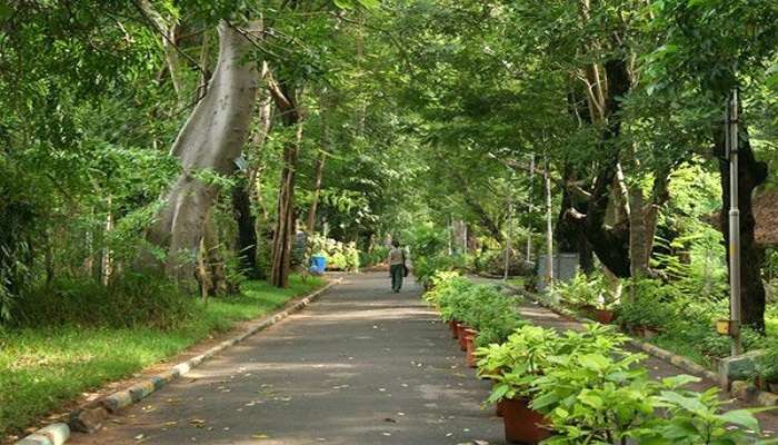 Take a stroll through the beautiful pondicherry botanical garden