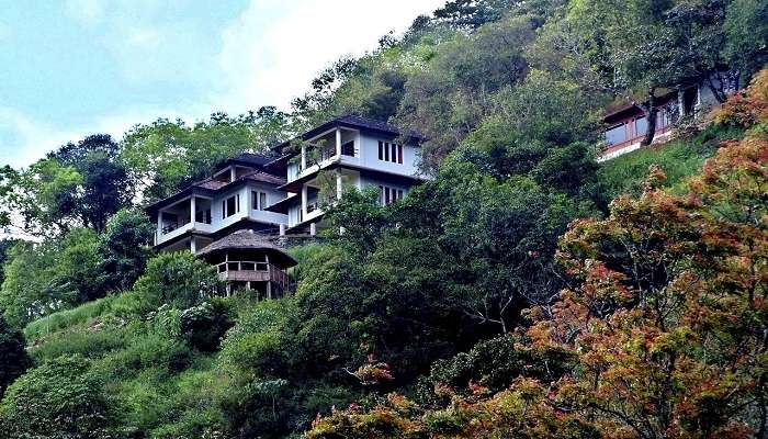 This resort in Munnar offers you a delicately perched view on the hillside