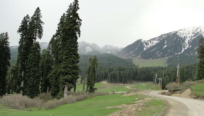 Doodhpatri - Valley Of Milk 