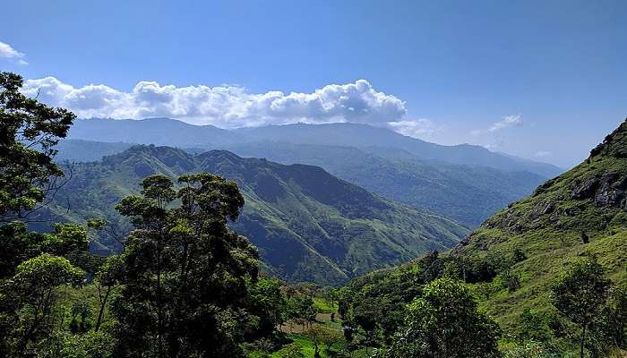 Ella Rock - Sri Lanka In February