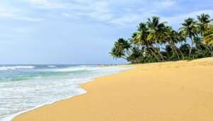 Sri Lanka is one of the warm places to visit in January.