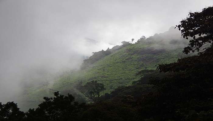 Visit this viewpoint in Munnar