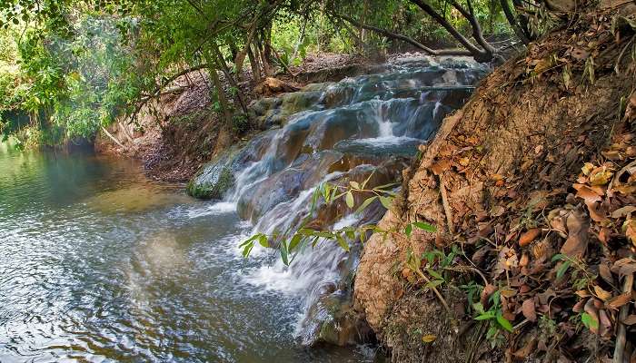 Klong Thom Hot Springs, Things To Do In Krabi