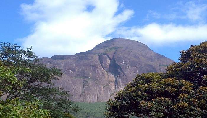 Mindblowing view from Agasthyakoodam Base Camp