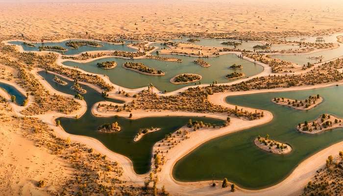 Al Qudra Lake, among places to visit in Dubai