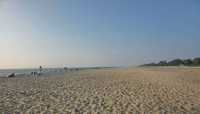 Alappuzha Beach Resorts in Kerala for family holidays