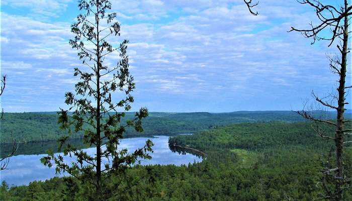 An adventurous view of Algonquin Provincial Park