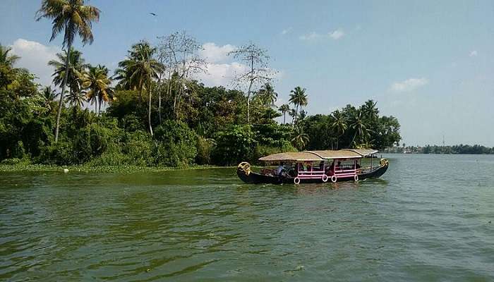 View of the backwaters from a houseboat in Alleppey,  is one of the Honeymoon Places In Kerala