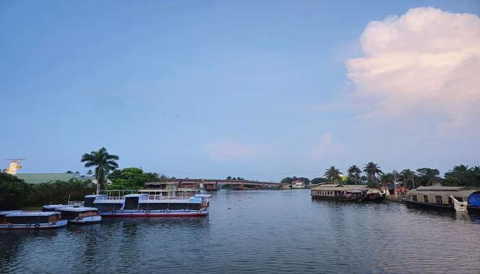 An image of the peaceful backwaters of Alleppey