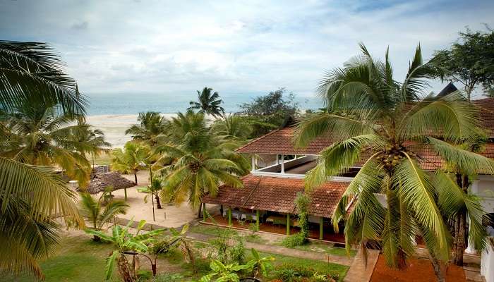 garden in Alleppey in March.
