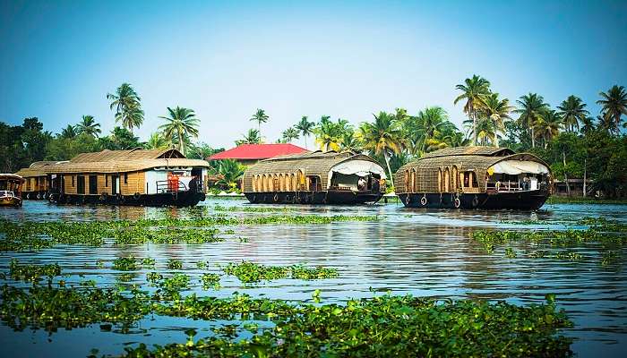 Alleppey—One of the Magical Places to Visit in Kerala during Monsoon