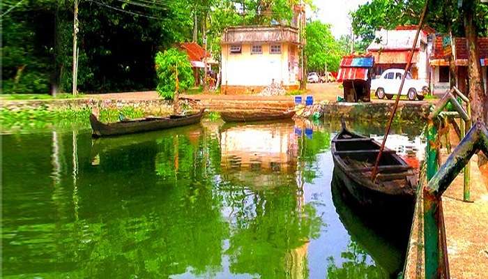 Boats in the lake at Alumkadavu