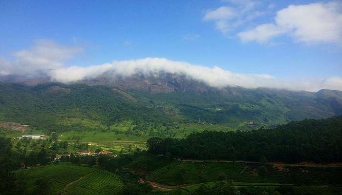 Things to do in Munnar- Trek at anamudi peak 