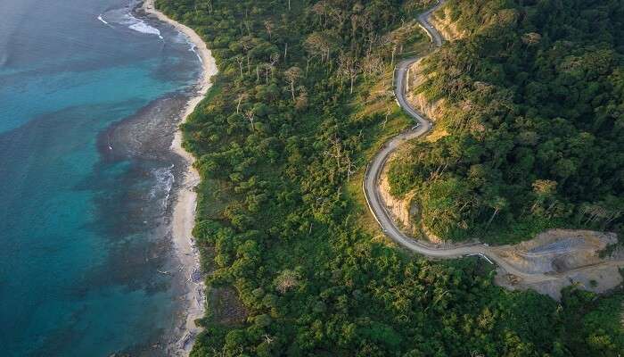 Kerala vs Andaman—scenic coastal road on a tropical island, contrasting landscapes