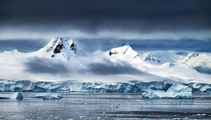 Visit Antarctica