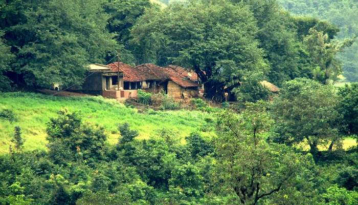 Araku Valley- Top honeymoon places in South India