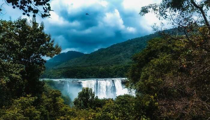 Explore Athirappilly on the next trip.