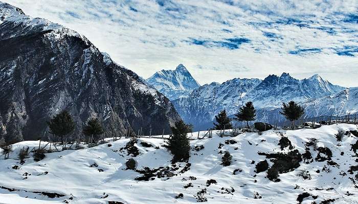 Auli, places to visit in winter in India