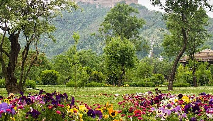 Badamwari Garden, things to do in srinagar