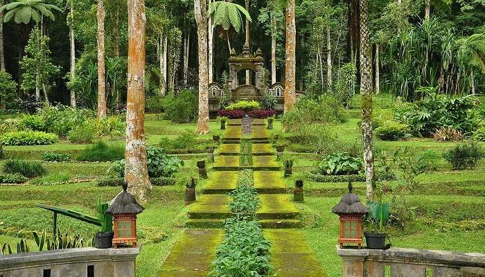 Witness the Charm of Bali Botanic Garden