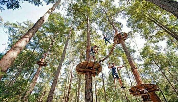 Bali Treetop Adventure Park