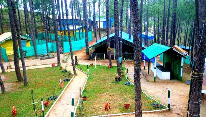  Barog Camping Grounds, Places To Visit In Barog