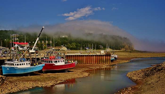 Bay Of Fundy is among the best places to visit in Canada