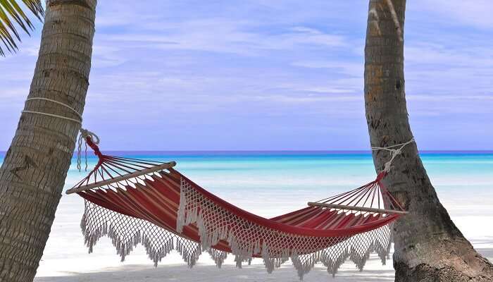 Stunning view from a Beach resort in Kerala 