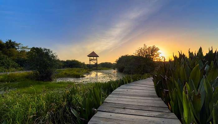 Beddagana Wetland Park