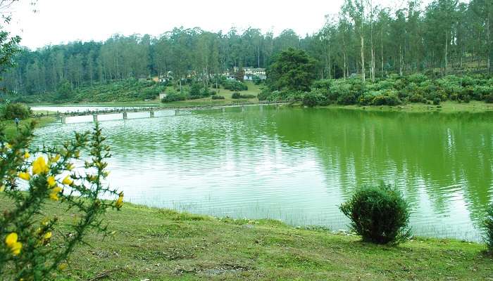 Bellikkal Lake, places to visit in Ooty