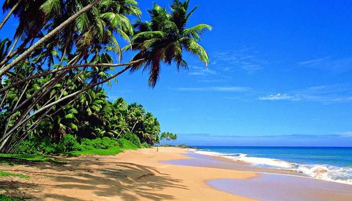  Bentota Beach, Sri Lanka in December