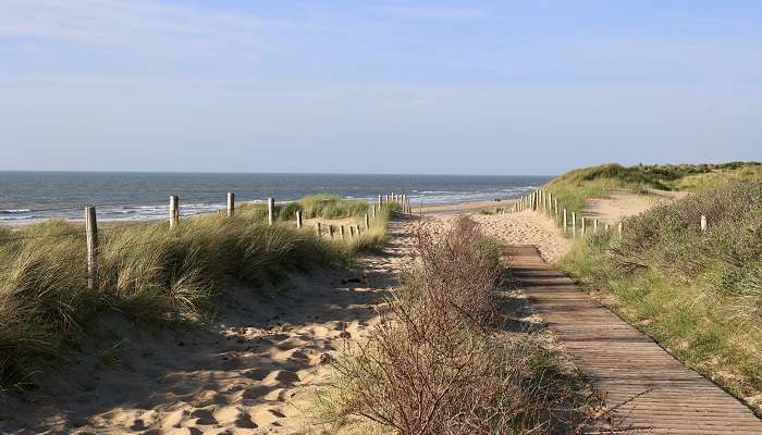 one of the best beaches in Netherlands