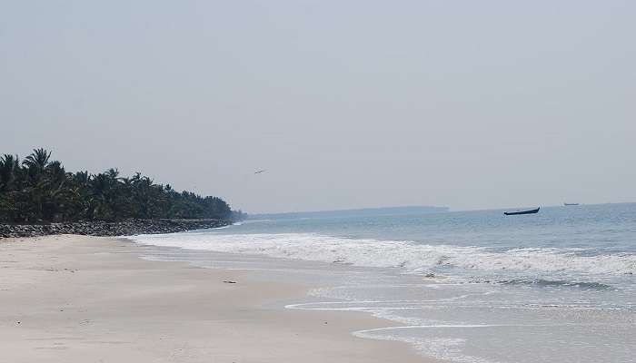 Stunning view of a beach in the misty morning