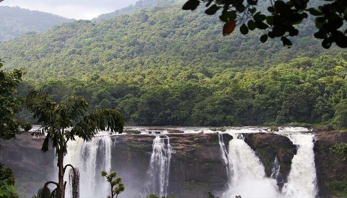 Forest road trip views of waterfalls and tourist places near Athirapally Falls