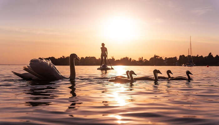 Enjoy evening in the backwaters