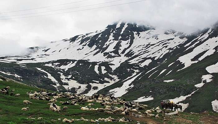 choose the appropriate time to visit Rohtang Pass. 