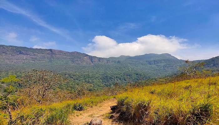 Agasthyarkoodam Trekking spot