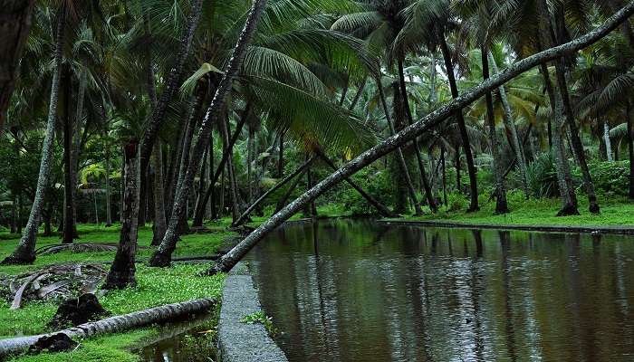 Subash Park in Kochi