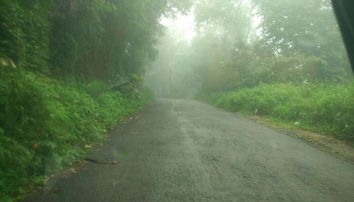 Frost in Mini Ooty in Malappuram