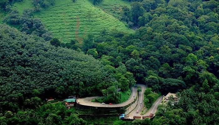 Best Time To Visit Wayanad