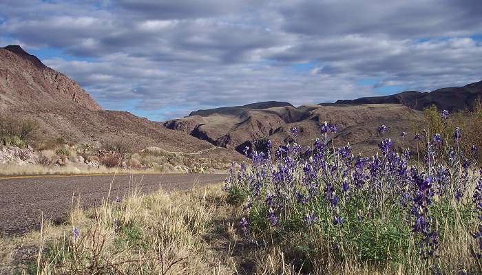 A stunning view of Big Bend National Park