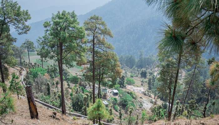 Binsar Valley, places to visit near Delhi